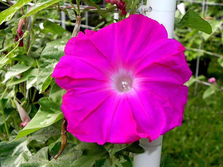 DSCN3580