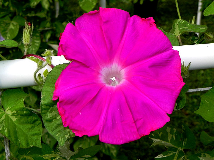 DSCN3581