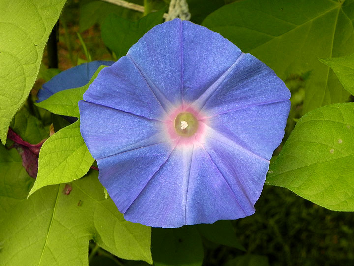 DSCN3610