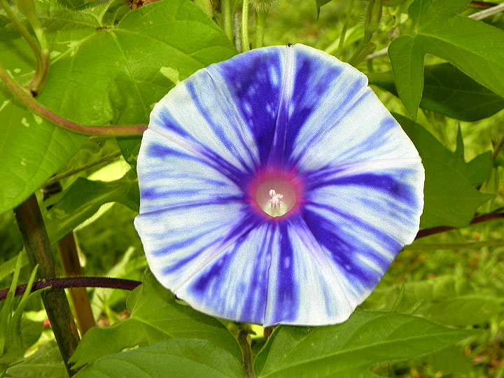 DSCN3625