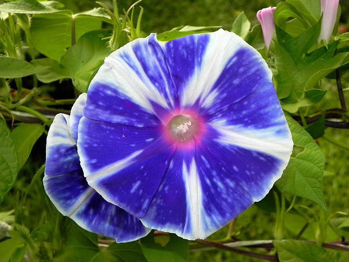 DSCN3626