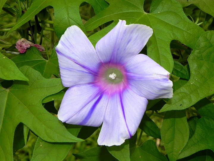 DSCN3633