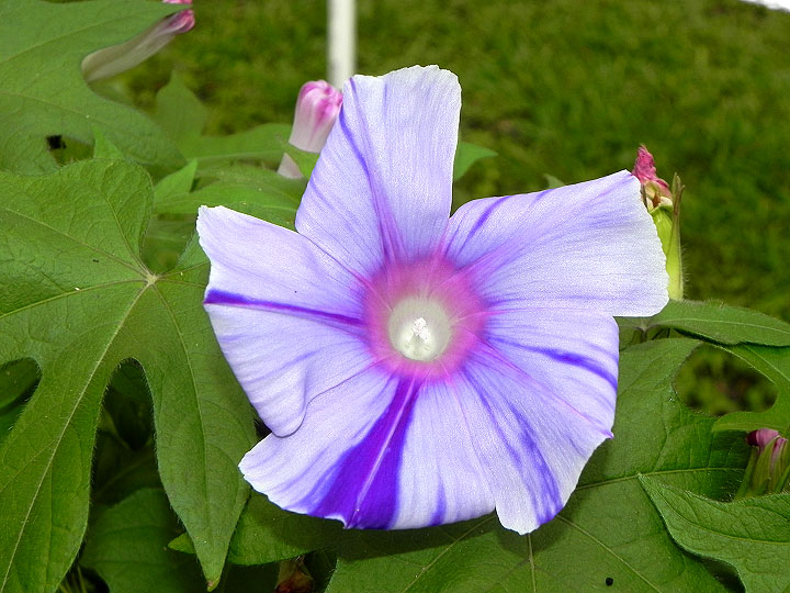 DSCN3638