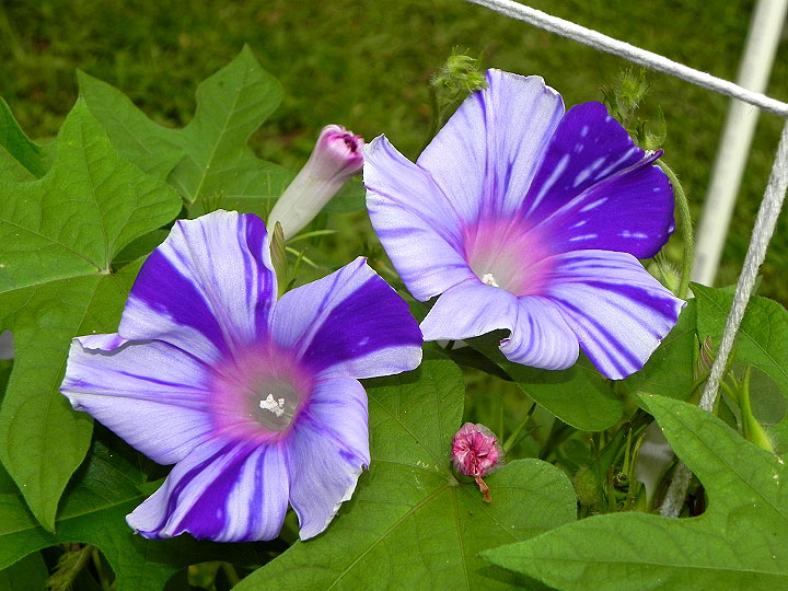 DSCN3639