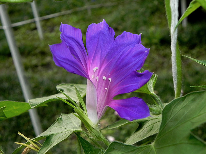 DSCN3644
