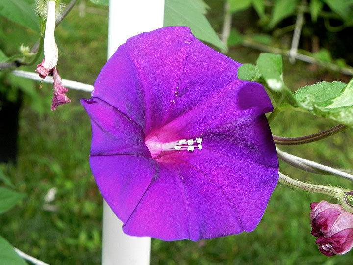 DSCN3648