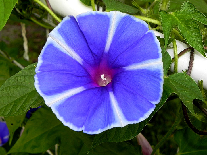 DSCN3649