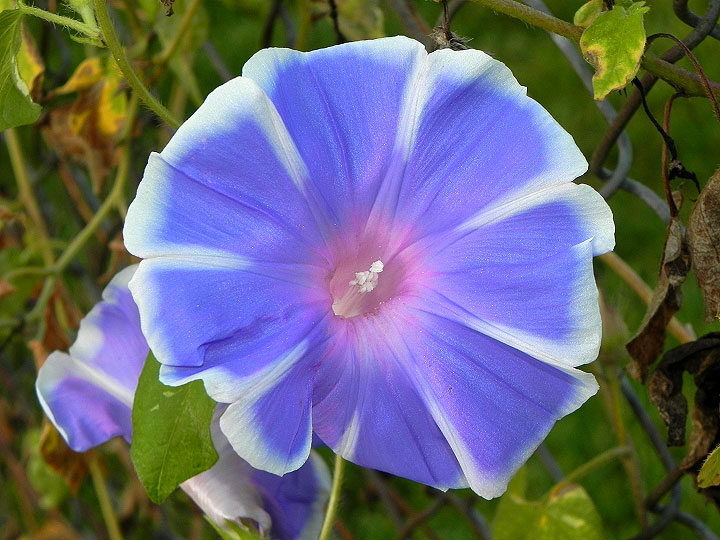 DSCN3654