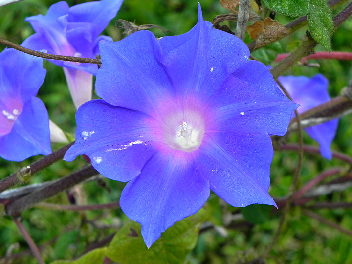 DSCN3676