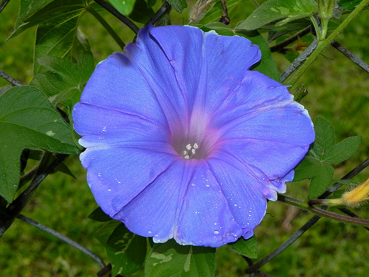 DSCN3697