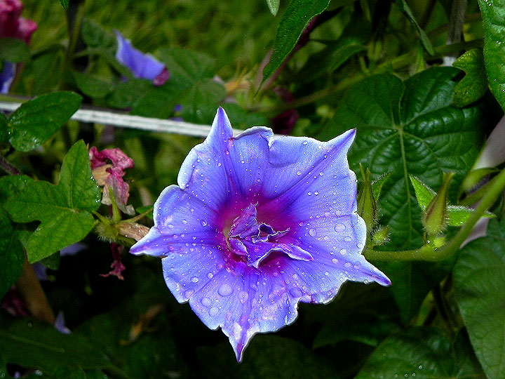 DSCN3705