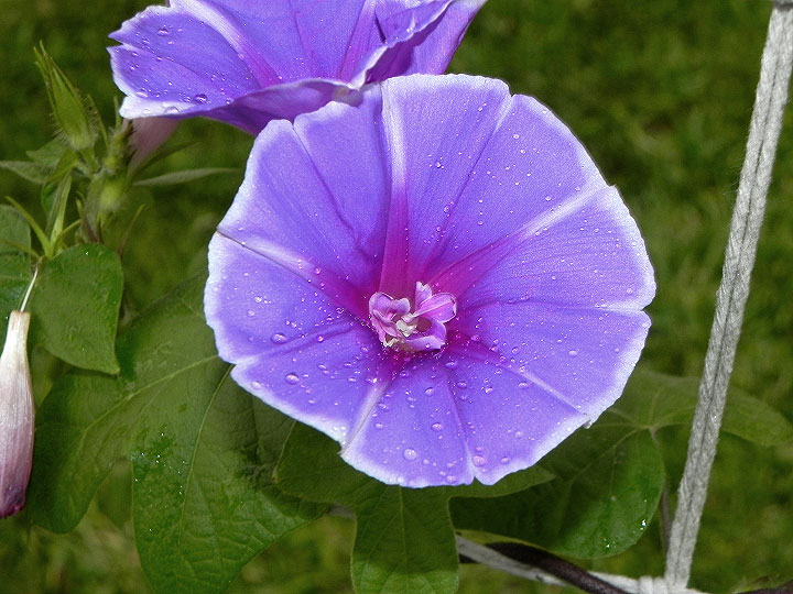 DSCN3733