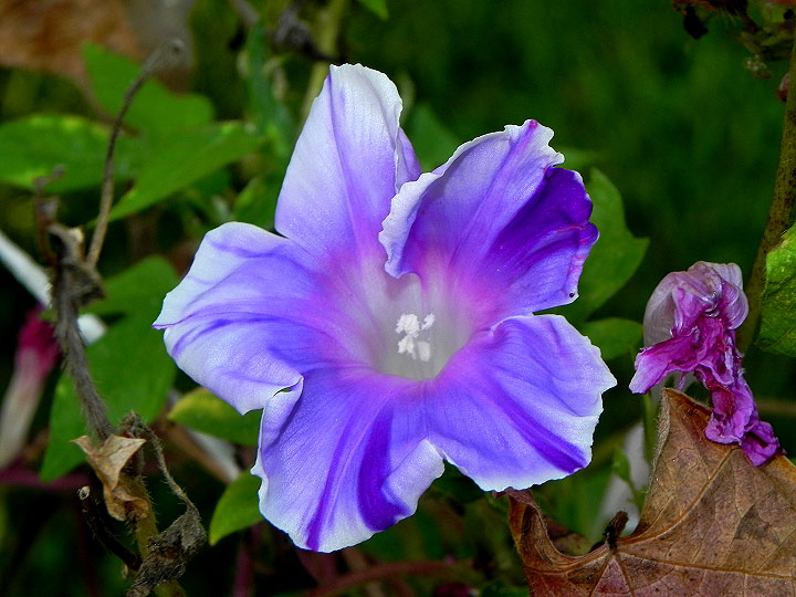 DSCN3747