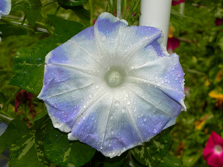 DSCN3748