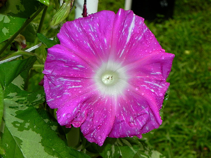DSCN3757