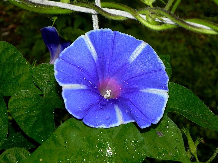 DSCN3799