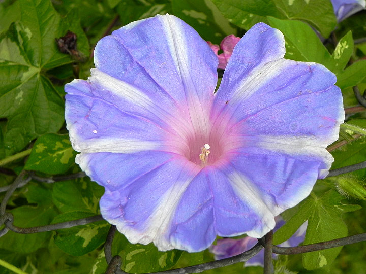 DSCN3839