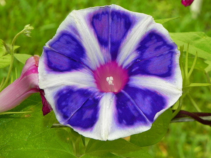 DSCN3899