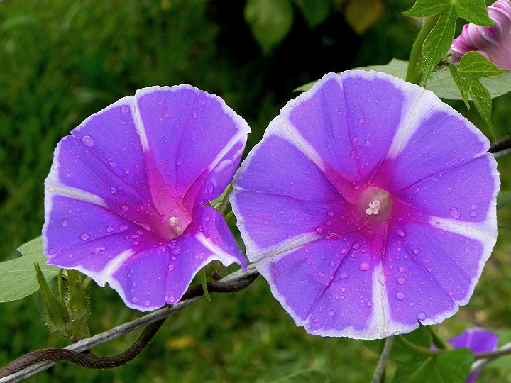DSCN3907