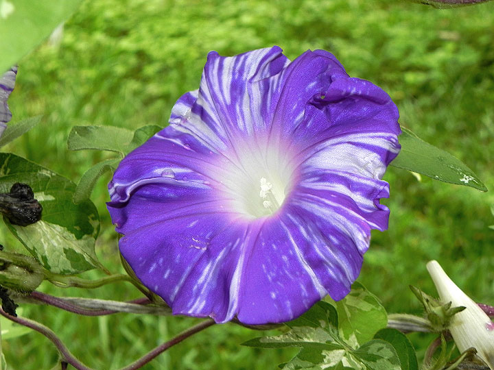 DSCN3910