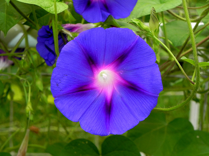 DSCN3931