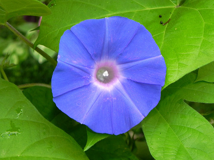 DSCN3953_01