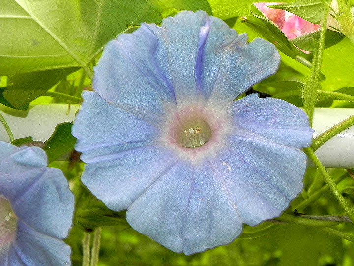 DSCN3955_01