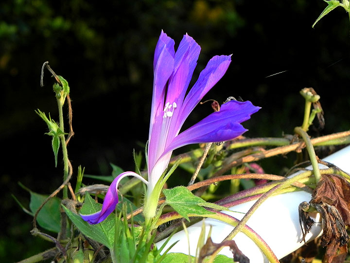 DSCN3957_01