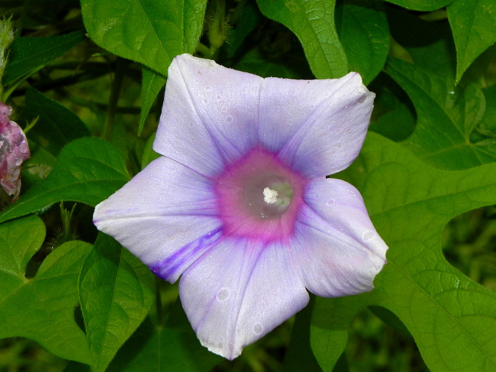 DSCN3973