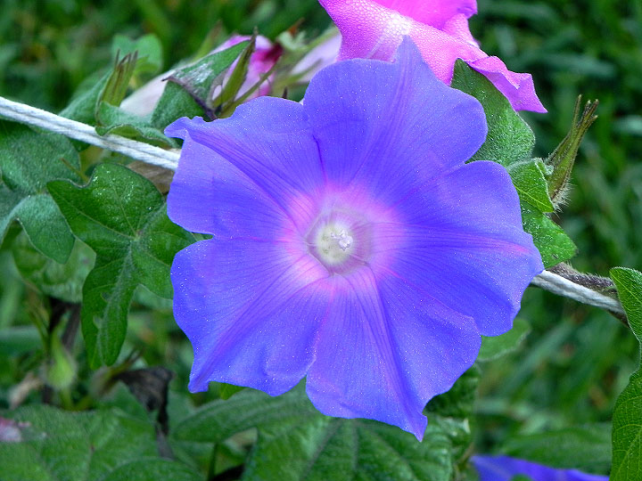 DSCN4046
