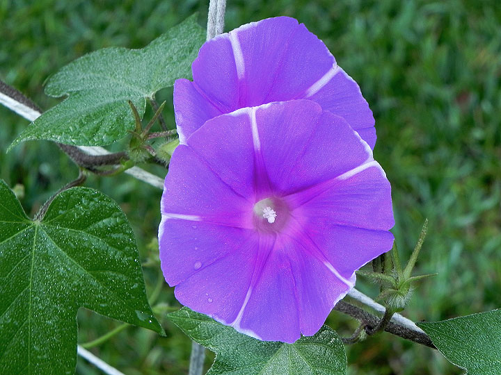 DSCN4065