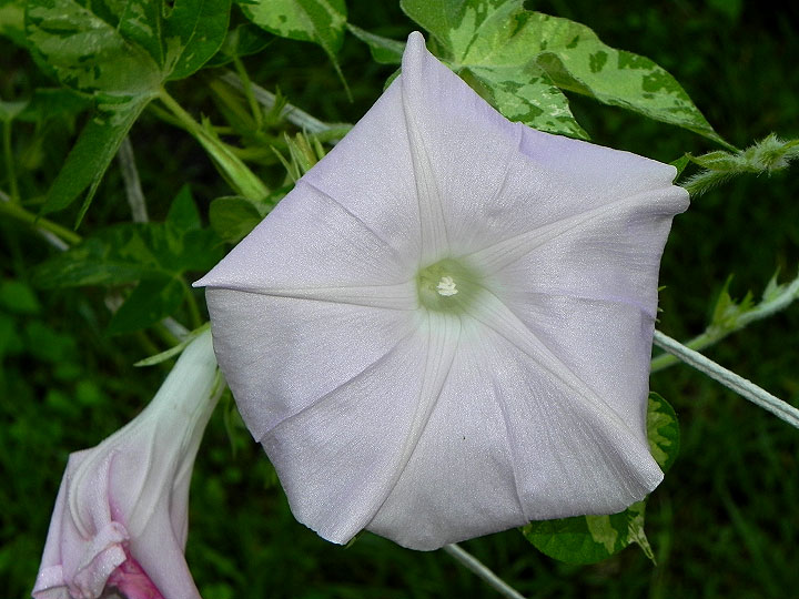 DSCN4095