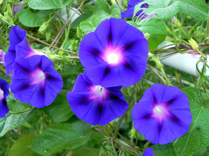 DSCN4104