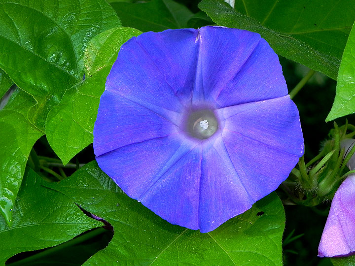 DSCN4136