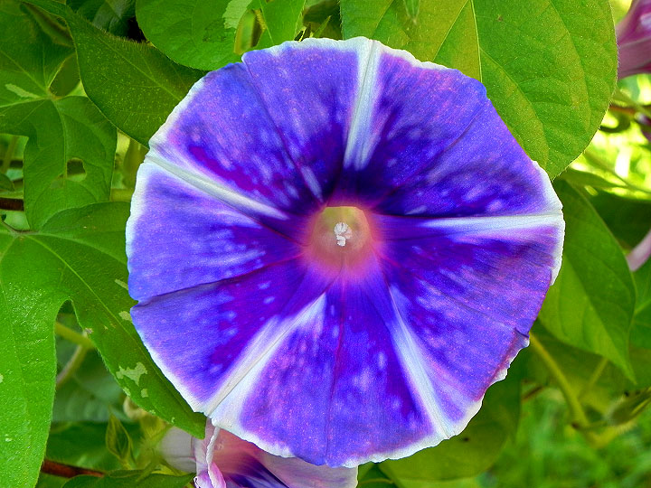 DSCN4153