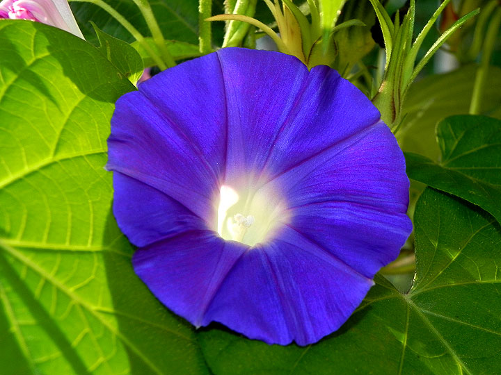 DSCN4159