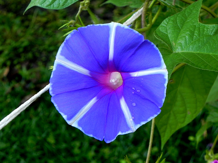 DSCN4178