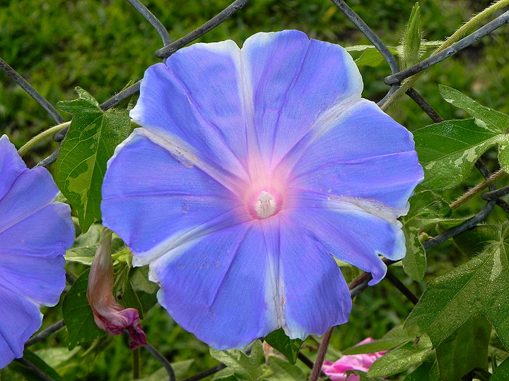 DSCN4225