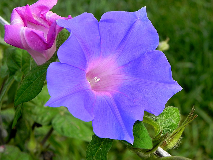 DSCN4259_01