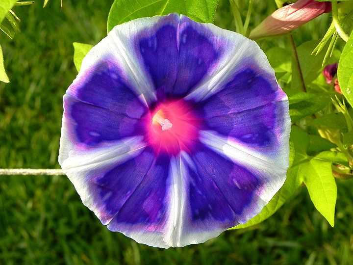 DSCN4280_01