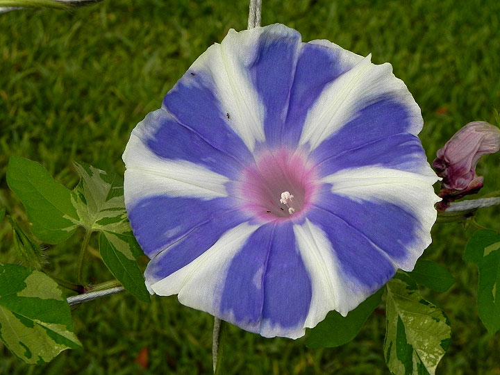 DSCN4286_01
