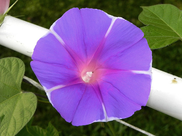DSCN4289_01
