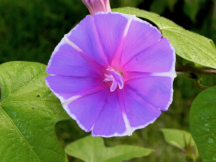 DSCN4290_01