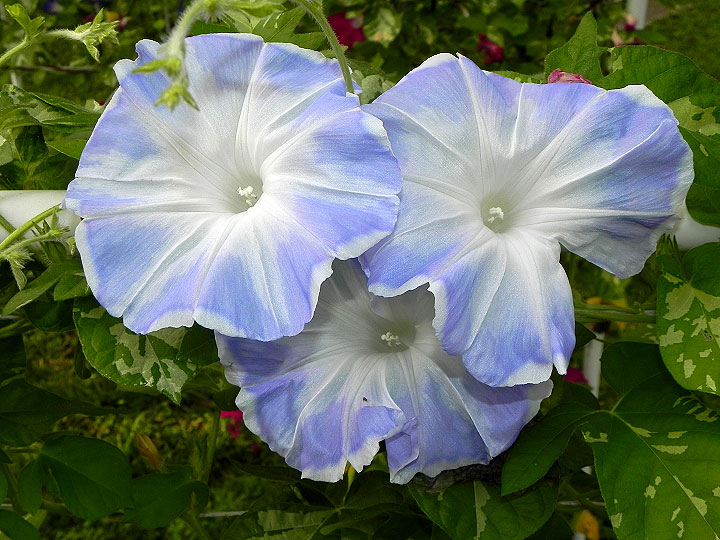 DSCN4310