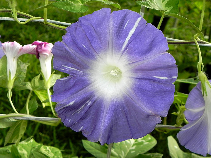 DSCN4361