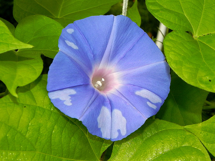 DSCN4370