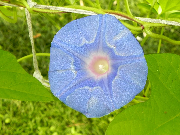 DSCN4375