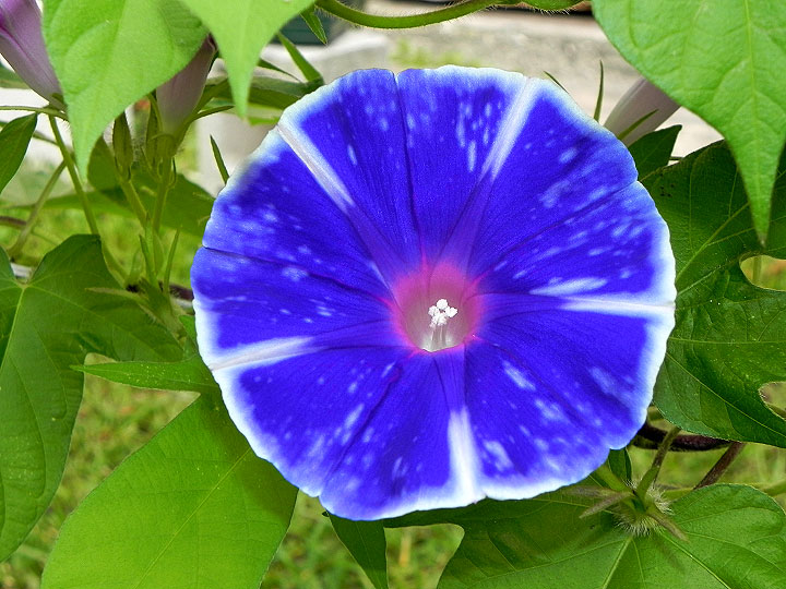 DSCN4389