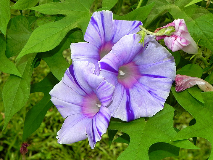 DSCN4399
