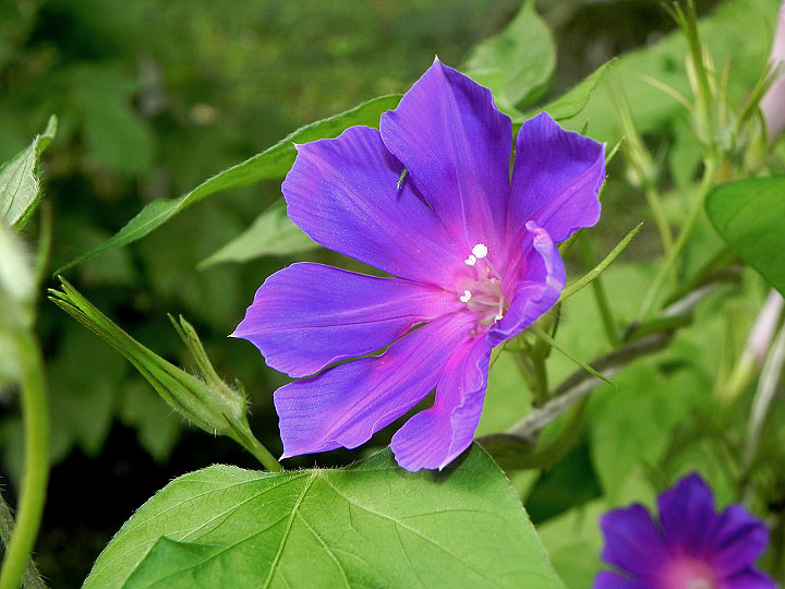 DSCN4409_01